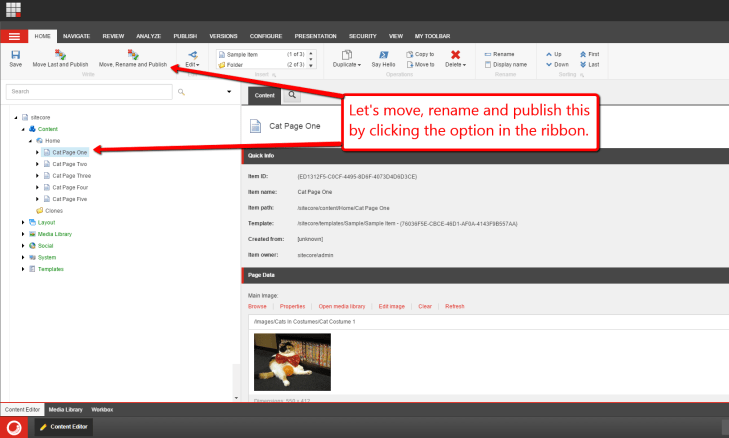 cat-page-one-move-rename-publish-1
