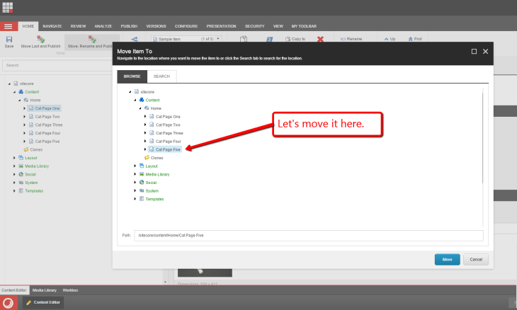 cat-page-one-move-rename-publish-2