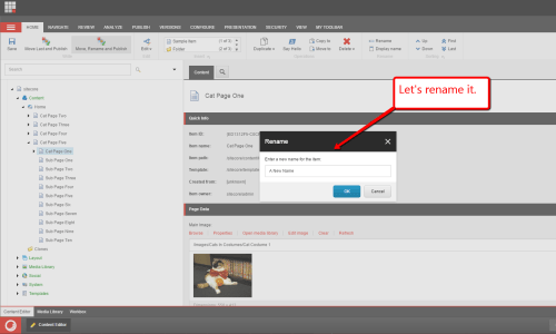 cat-page-one-move-rename-publish-3