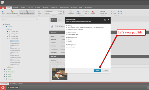 cat-page-one-move-rename-publish-4