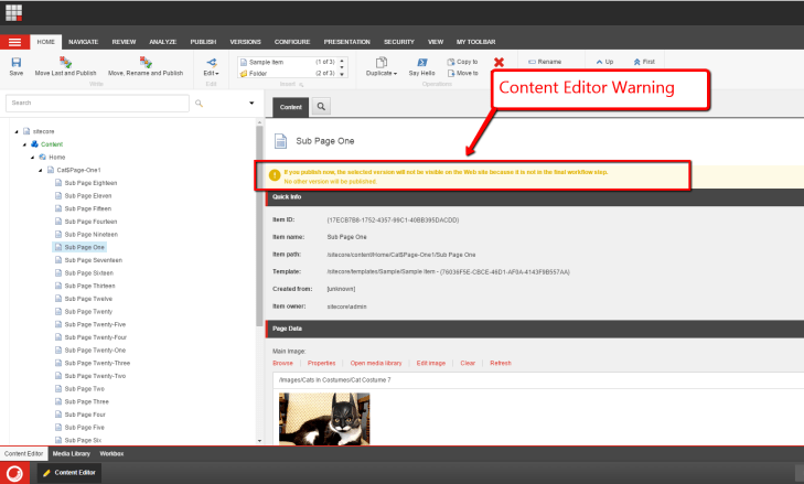 content-editor-warning-example