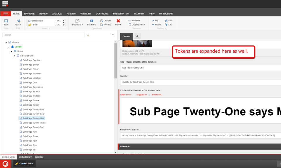 descendant-tokens-expanded