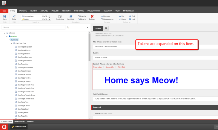 home-tokens-expanded
