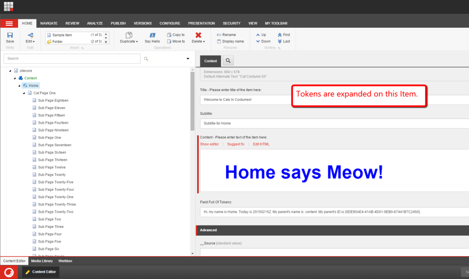 home-tokens-expanded