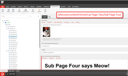 mario-content-editor
