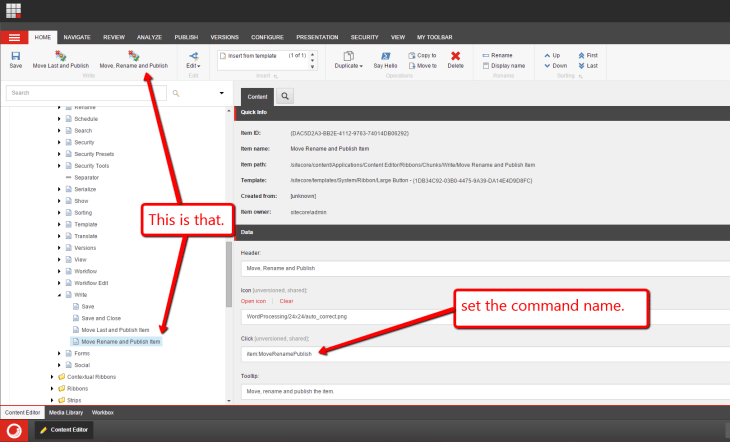 move-rename-publish-ribbon-core