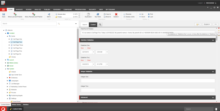 datetime-fields-item