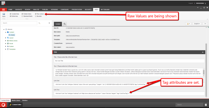 tag-attributes-are-set-controller