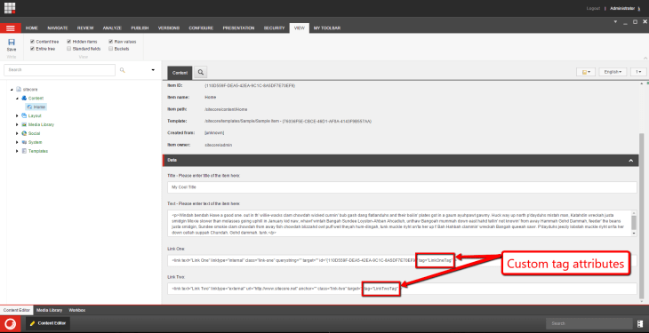 tag-attributes-raw-values