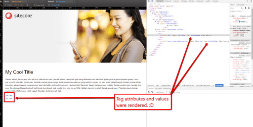 tag-attributes-rendered