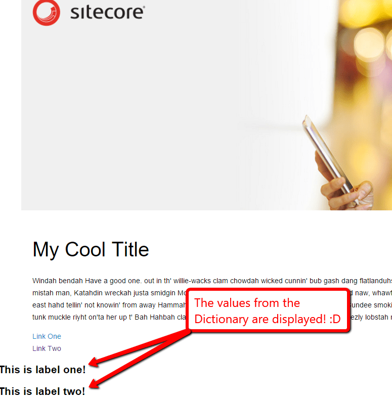 dictionary-values-displayed
