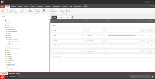 giphy-image-sample-item-new-field