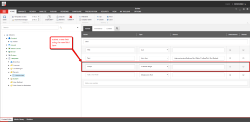 template-new-field-external-image