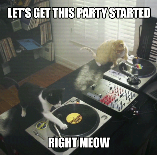 partay-meow